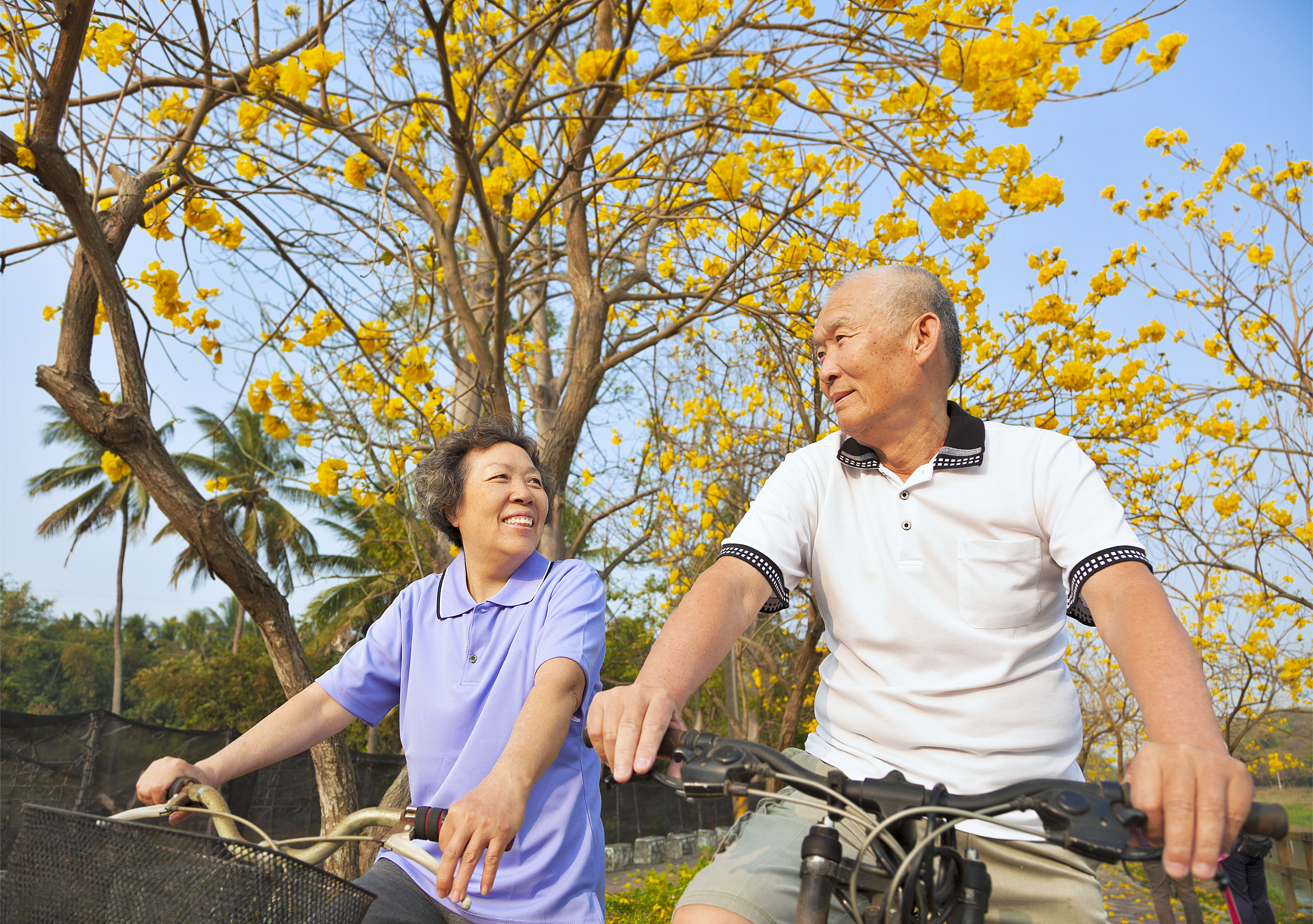 happy senior couple riding bicycle in the park
